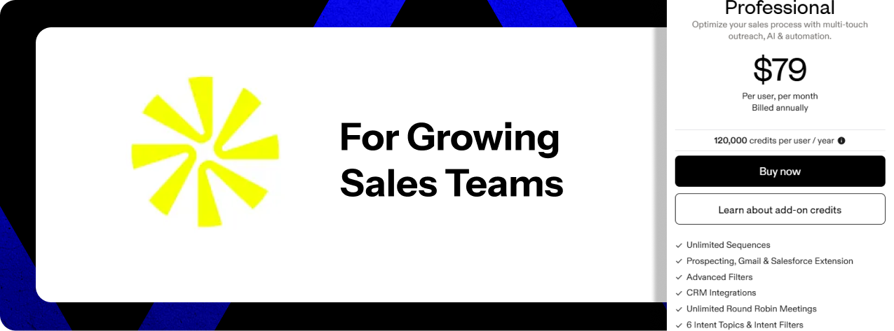 Apollo.io Professional Plan: For Growing Sales Teams